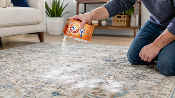 How to Get Smell Out of a Rug (Musty, New & Everyday Odors)