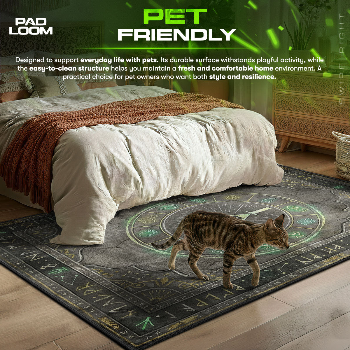 Bill area rug showing full home decor artwork