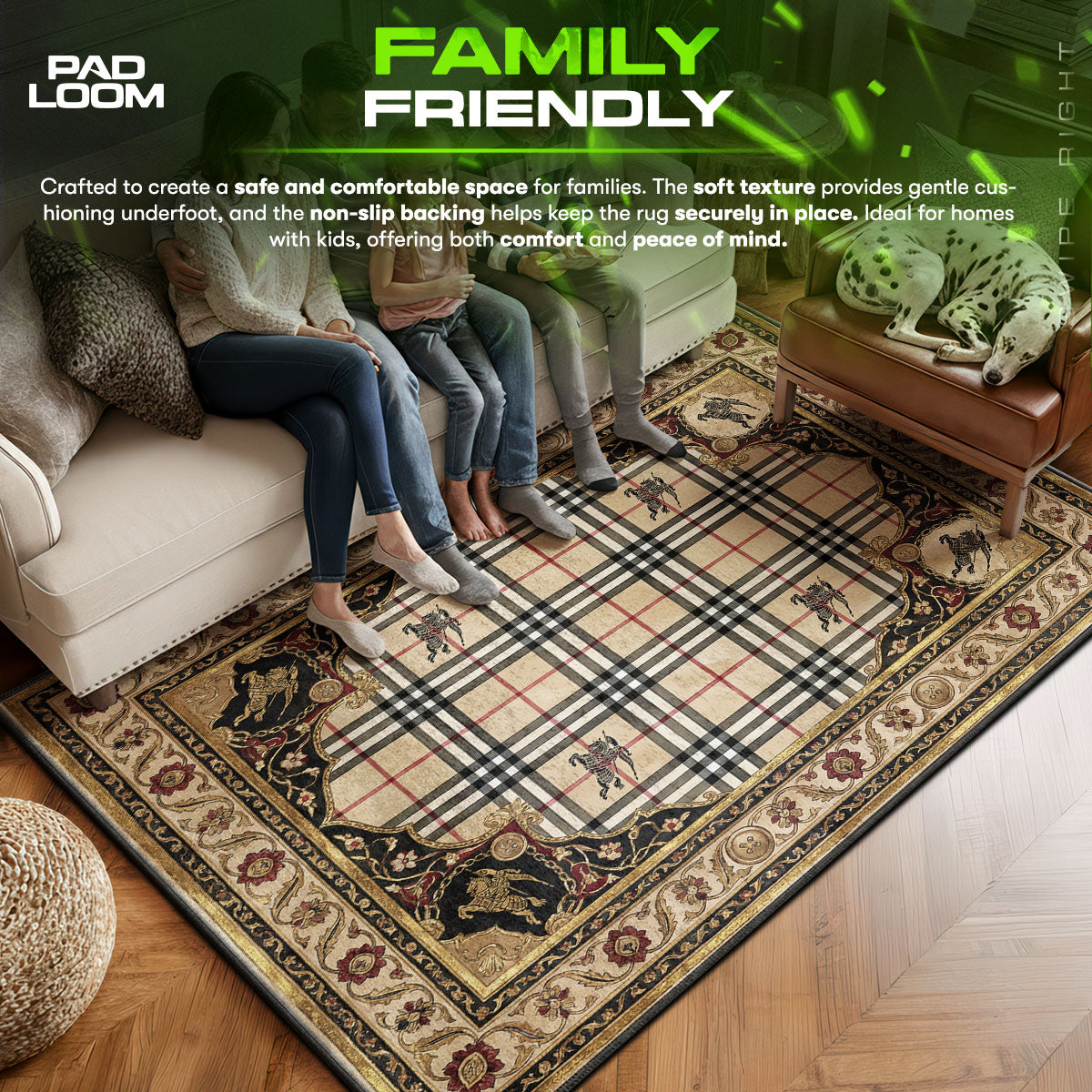 Burberry area rug showing full home decor artwork
