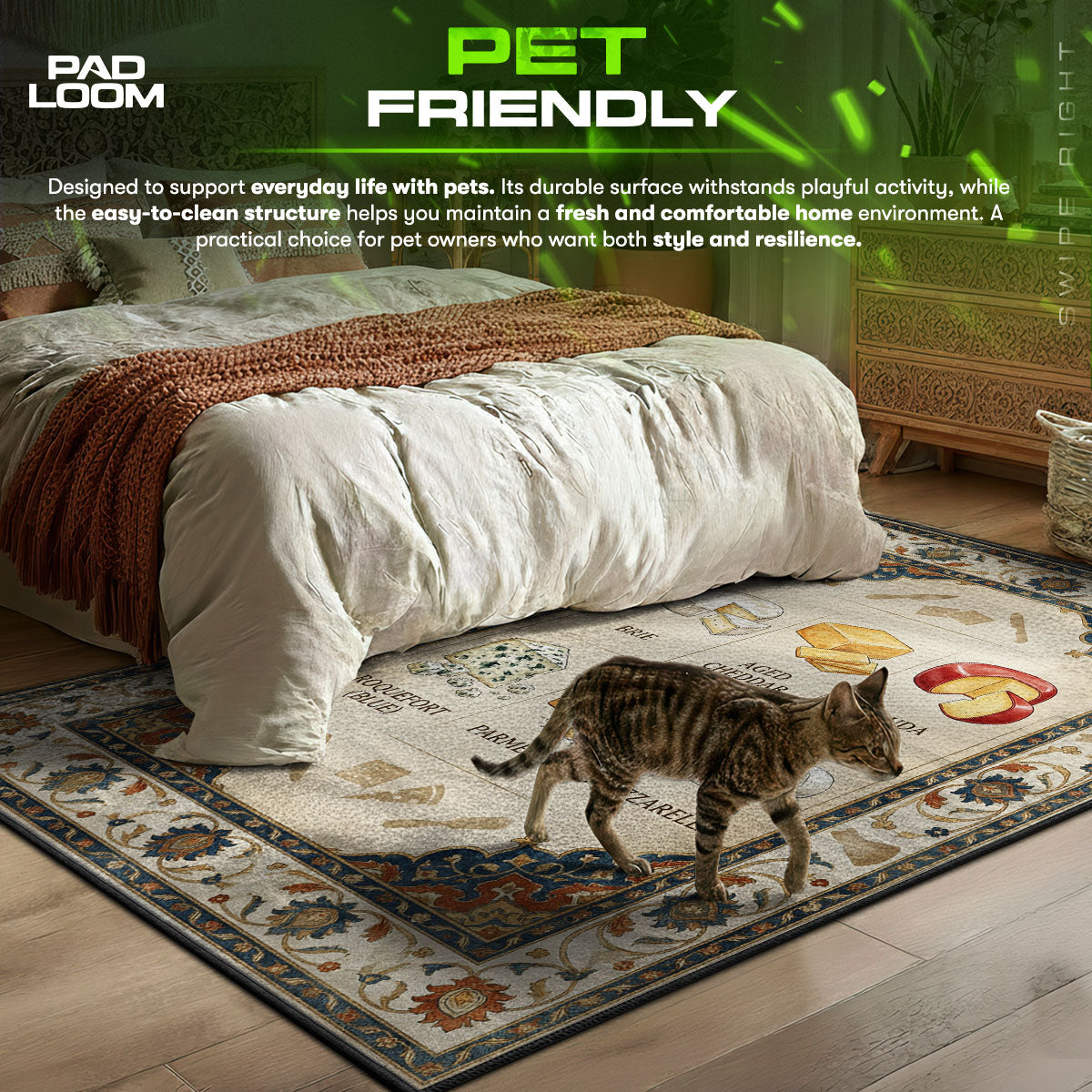 Cheese Varieties themed area rug for home decor fans