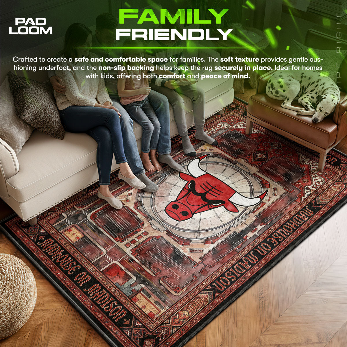 Chicago area rug showing full home decor artwork