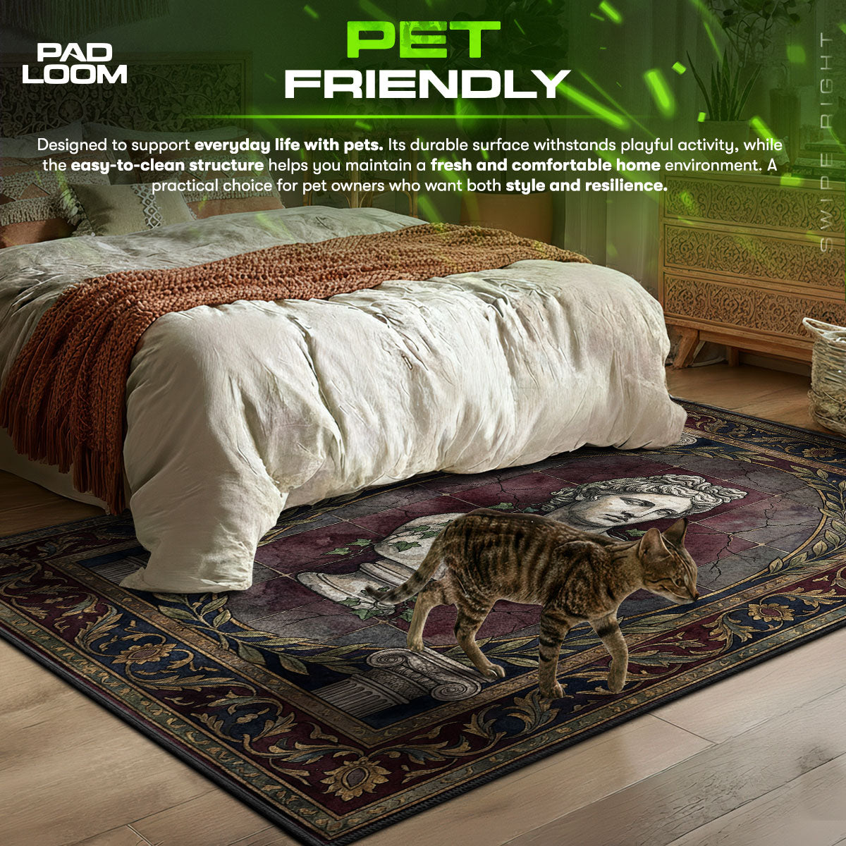 Classical area rug showing full home decor artwork