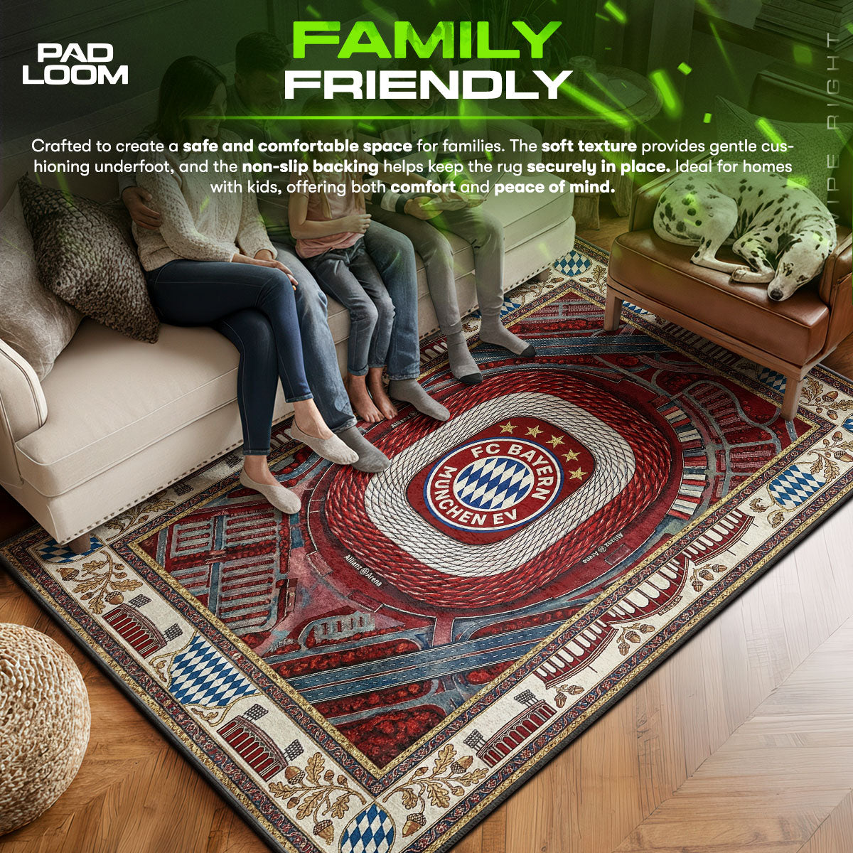 FC area rug showing full home decor artwork