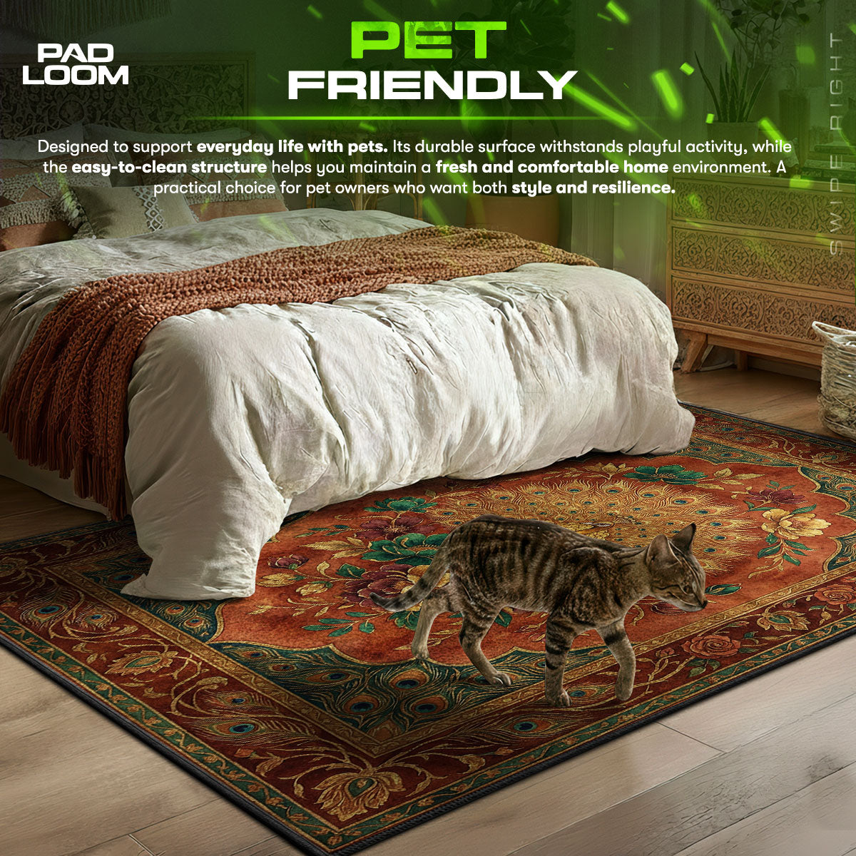 Golden area rug showing full home decor artwork