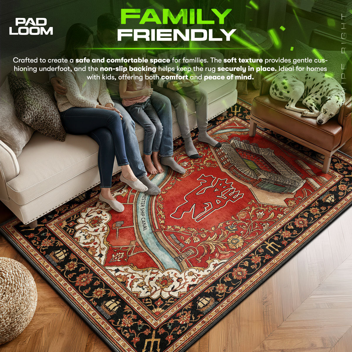 Manchester area rug showing full home decor artwork