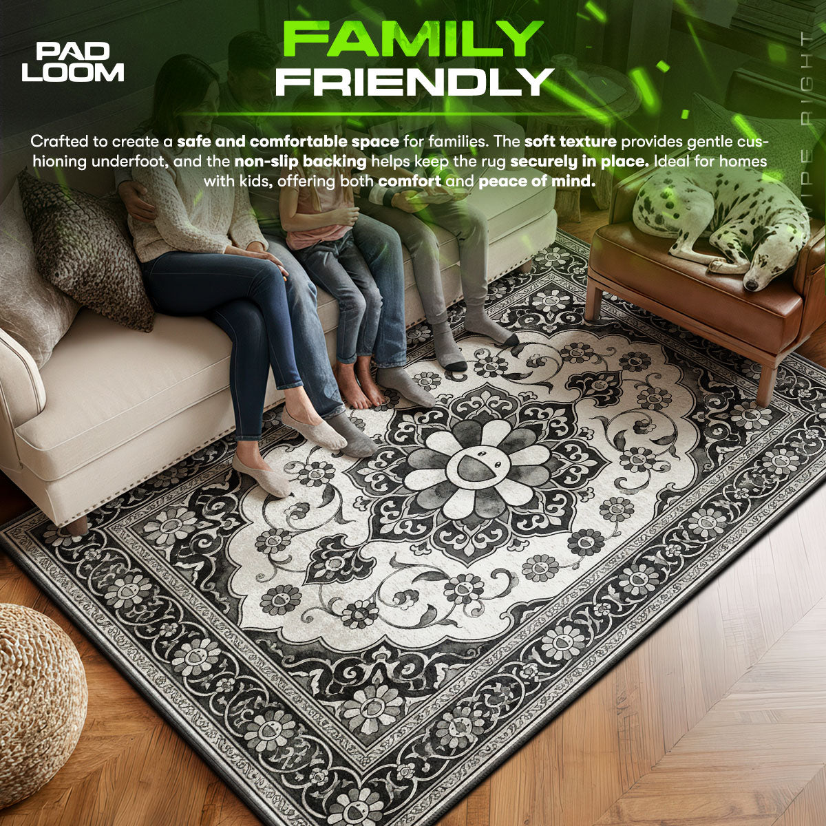 Monochrome area rug showing full home decor artwork