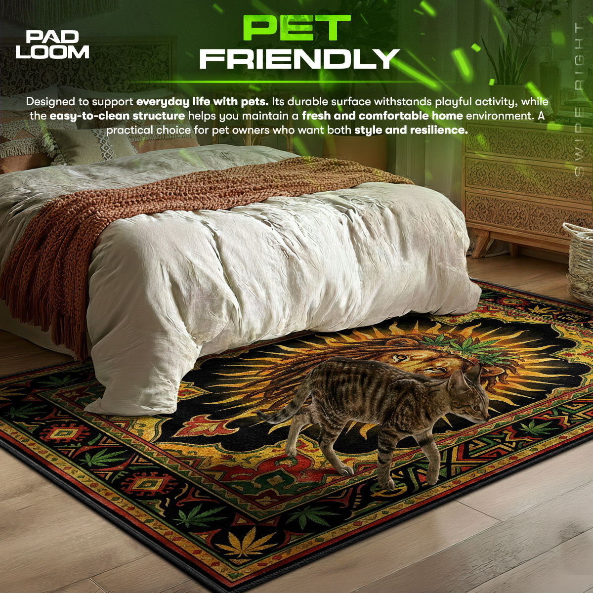 Detailed close-up of Rasta rug pattern