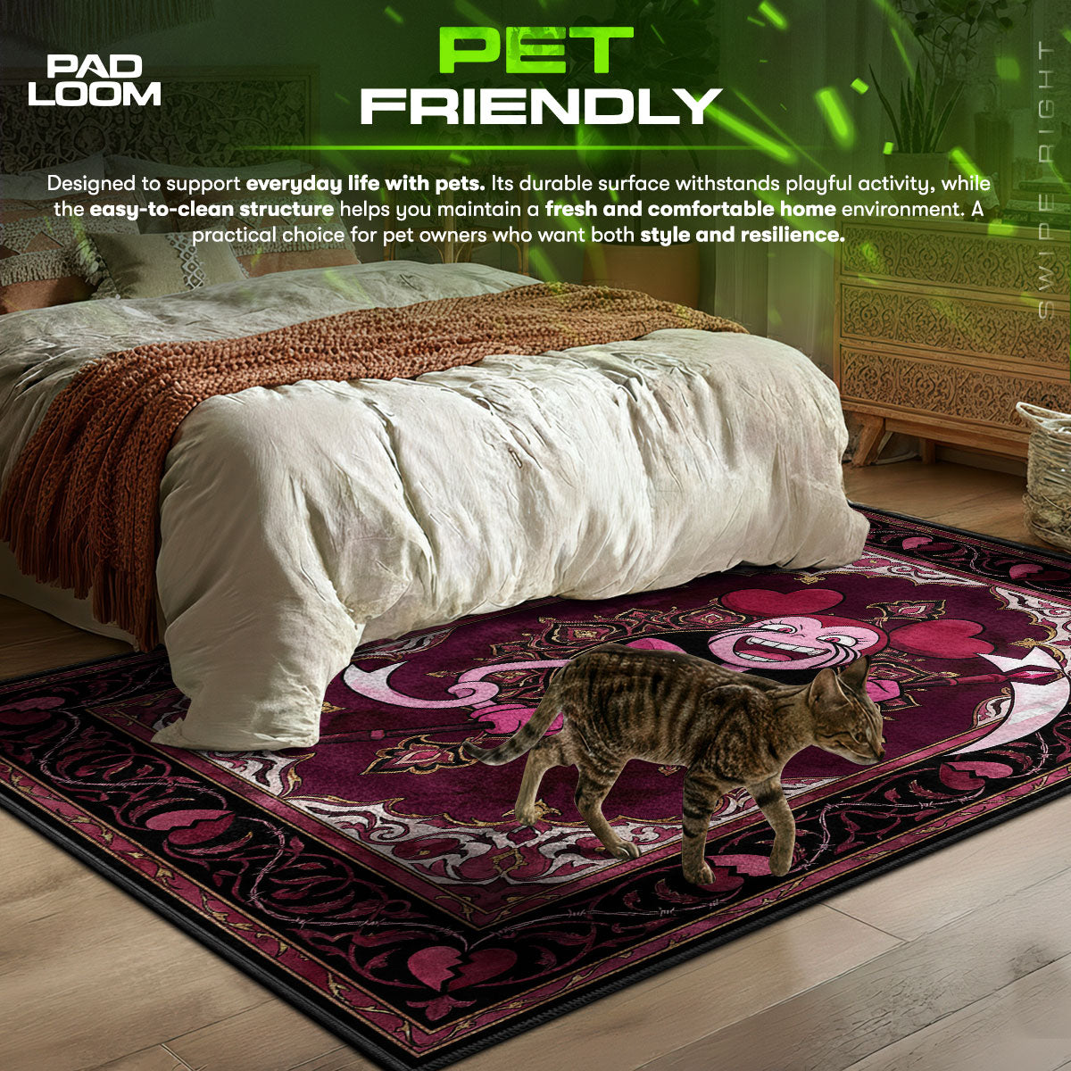 Spinel area rug showing full home decor artwork