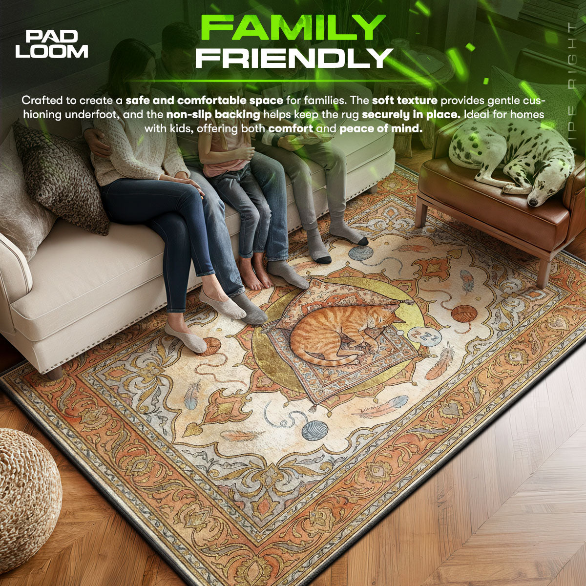 Stray area rug showing full home decor artwork