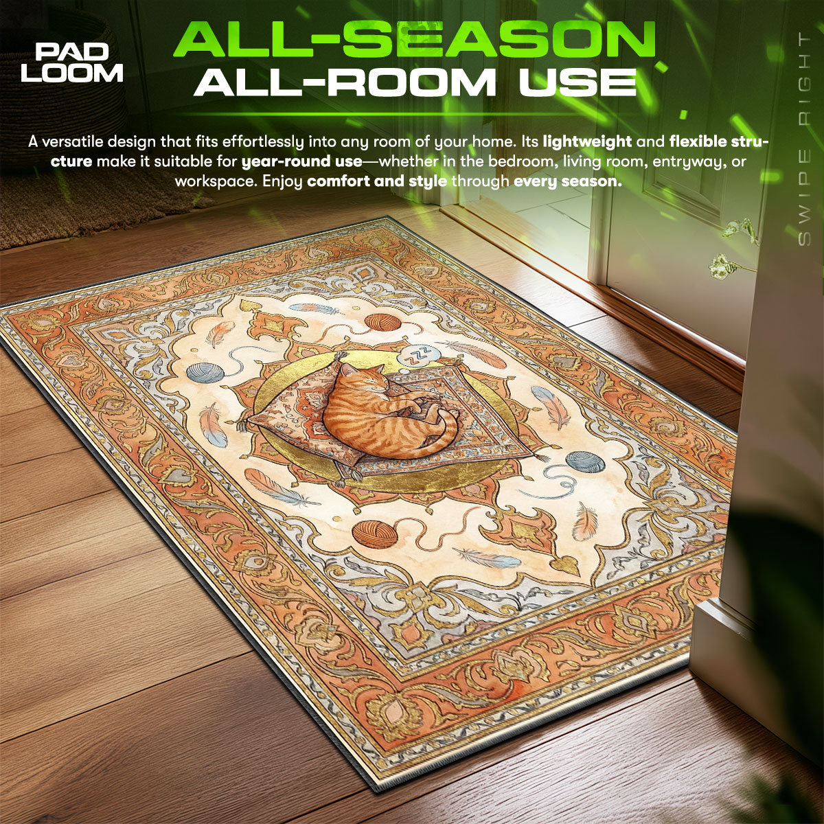 Stray Cat Nap Time Stray Chair fan rug — premium quality print