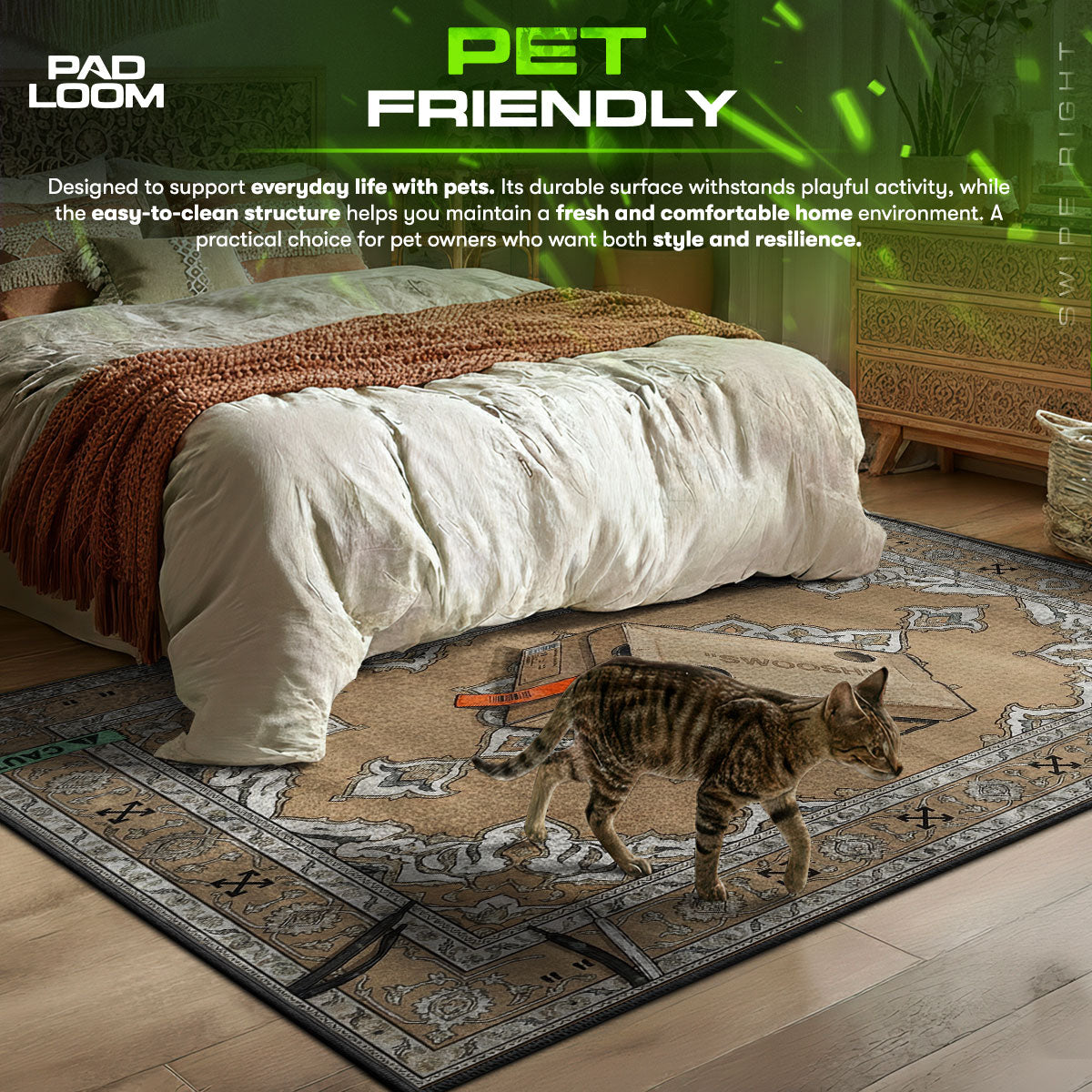 Swoosh Box Baroque Rug - Designer Floor Mat