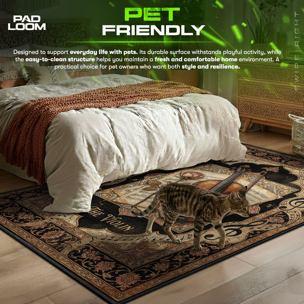 Violin area rug showing full home decor artwork