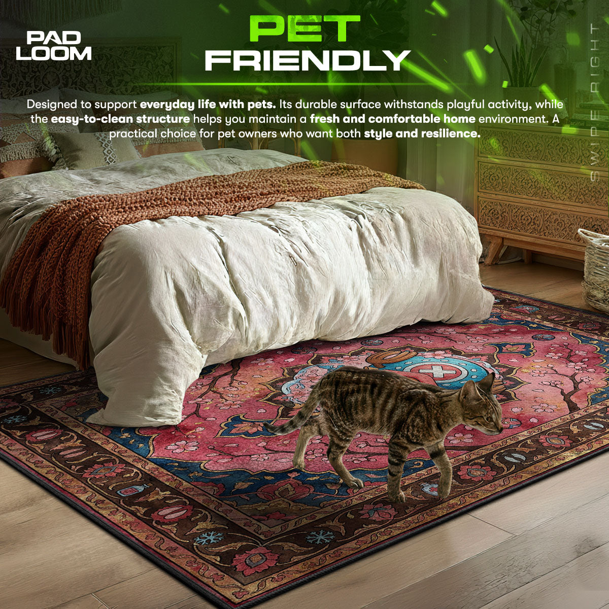 Tony area rug showing full home decor artwork
